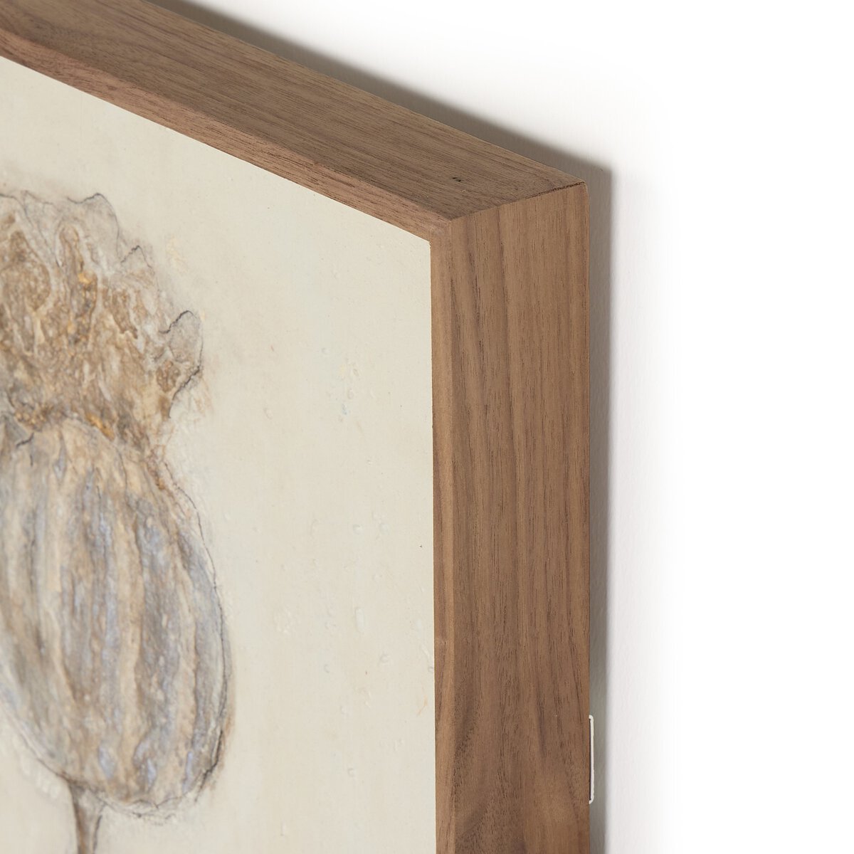 Poppy Triptych by Paul Meyer