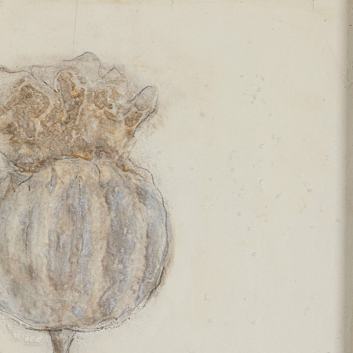 Poppy Triptych by Paul Meyer