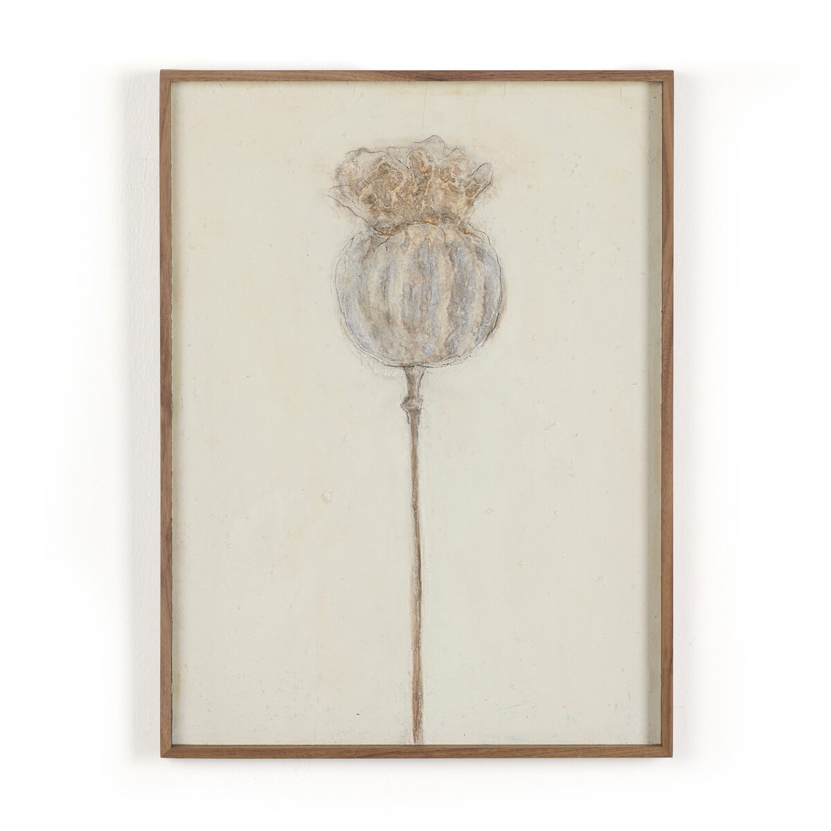 Poppy Crema by Paul Meyer
