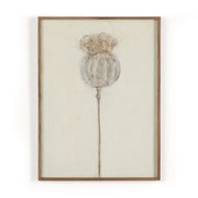 Poppy Crema by Paul Meyer