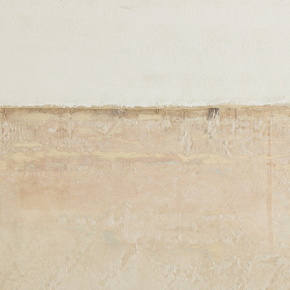 Coastal Desert by Paul Meyer