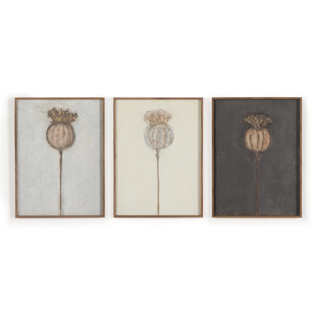 Poppy Triptych by Paul Meyer