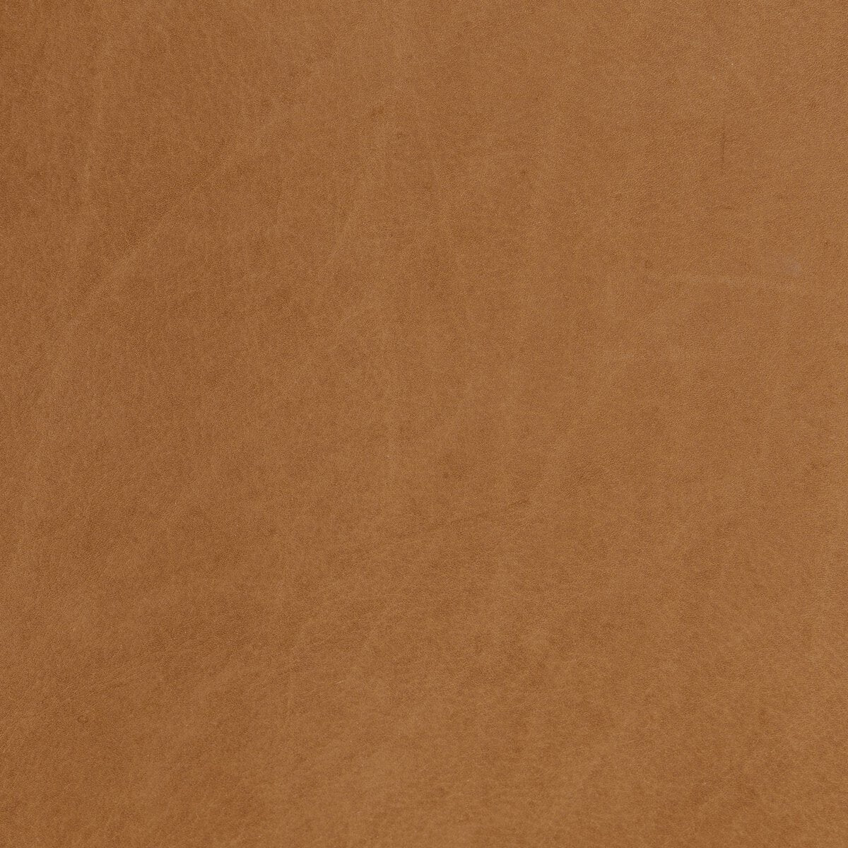 Arlow Dining Chair