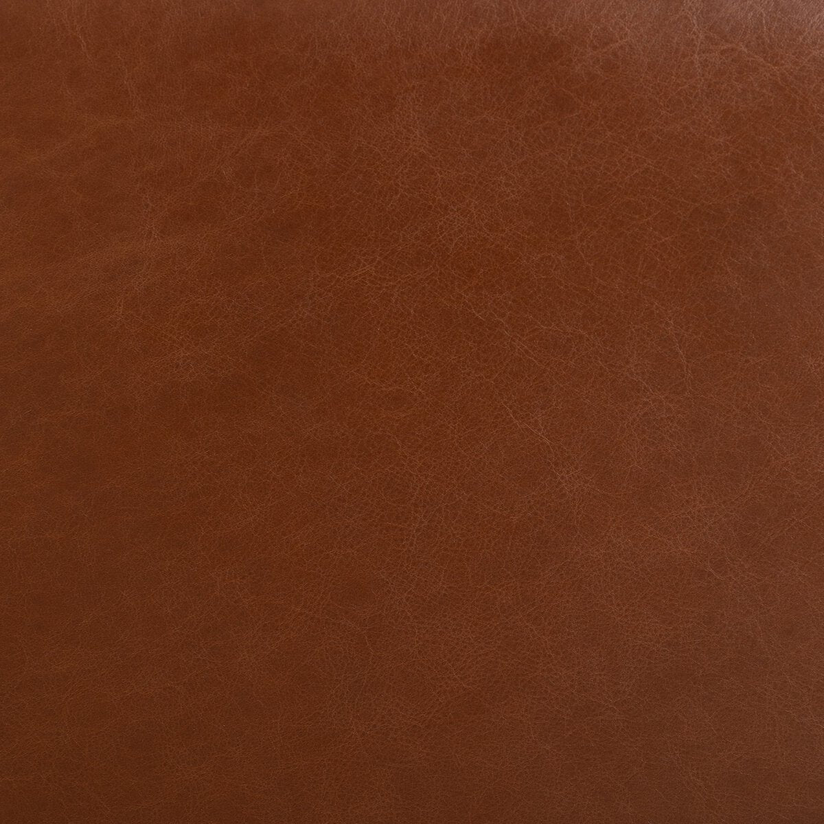 Neera Recliner