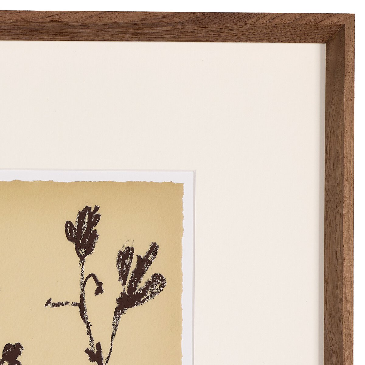 Meadow Rue Set by Shaina Page
