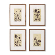 Meadow Rue Set by Shaina Page