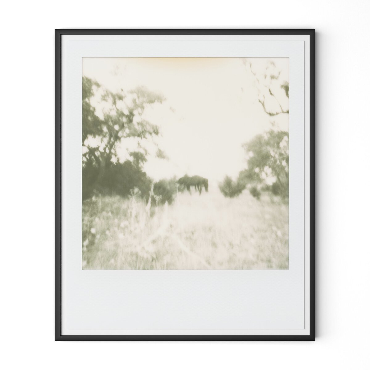 Horses by Darden Smith