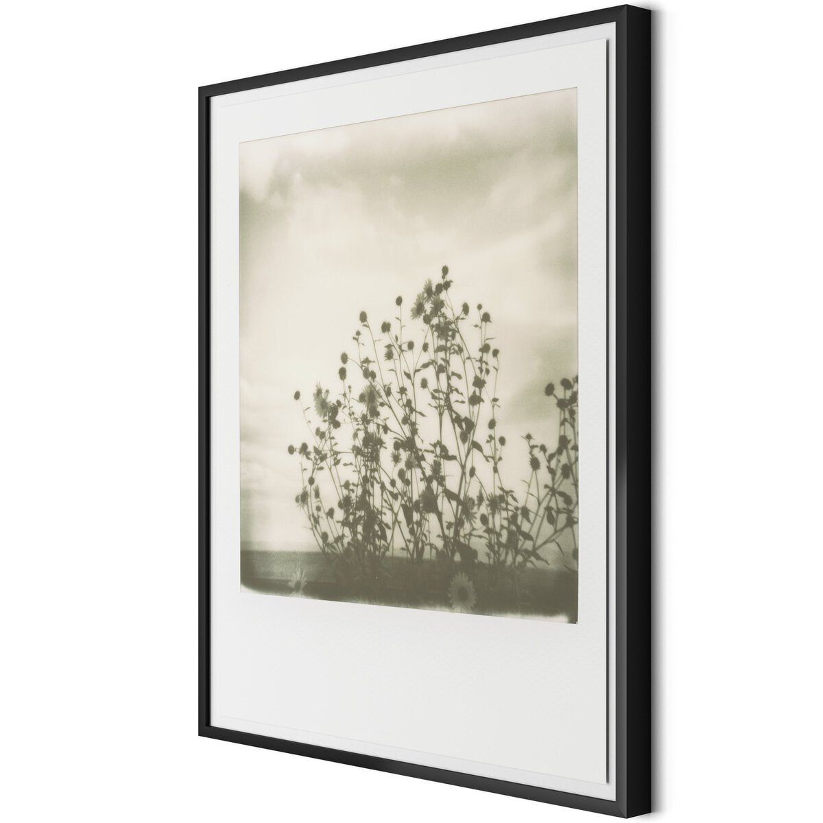 Sunflowers by Darden Smith
