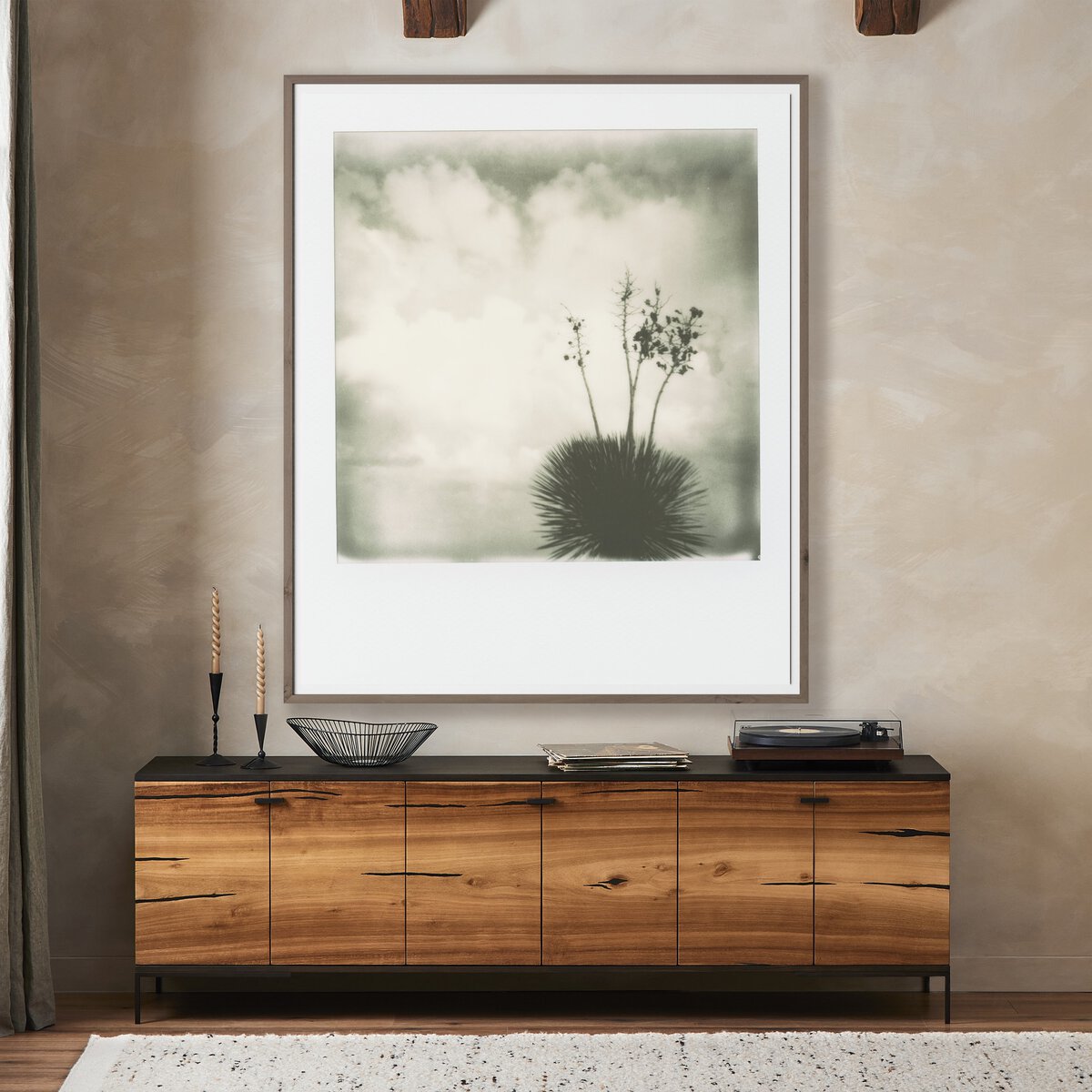 Yucca by Darden Smith