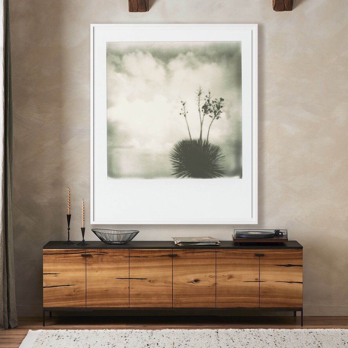 Yucca by Darden Smith