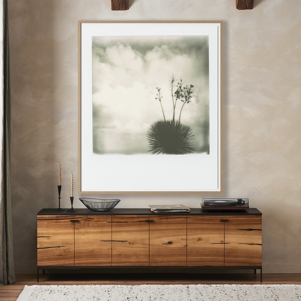 Yucca by Darden Smith