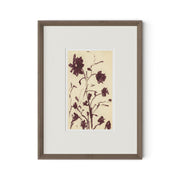 Meadow Rue No.1 by Shaina Page