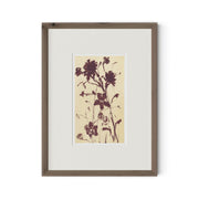 Meadow Rue No.2 by Shaina Page