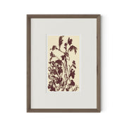 Meadow Rue No.5 by Shaina Page