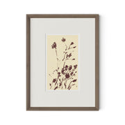 Meadow Rue No.8 by Shaina Page