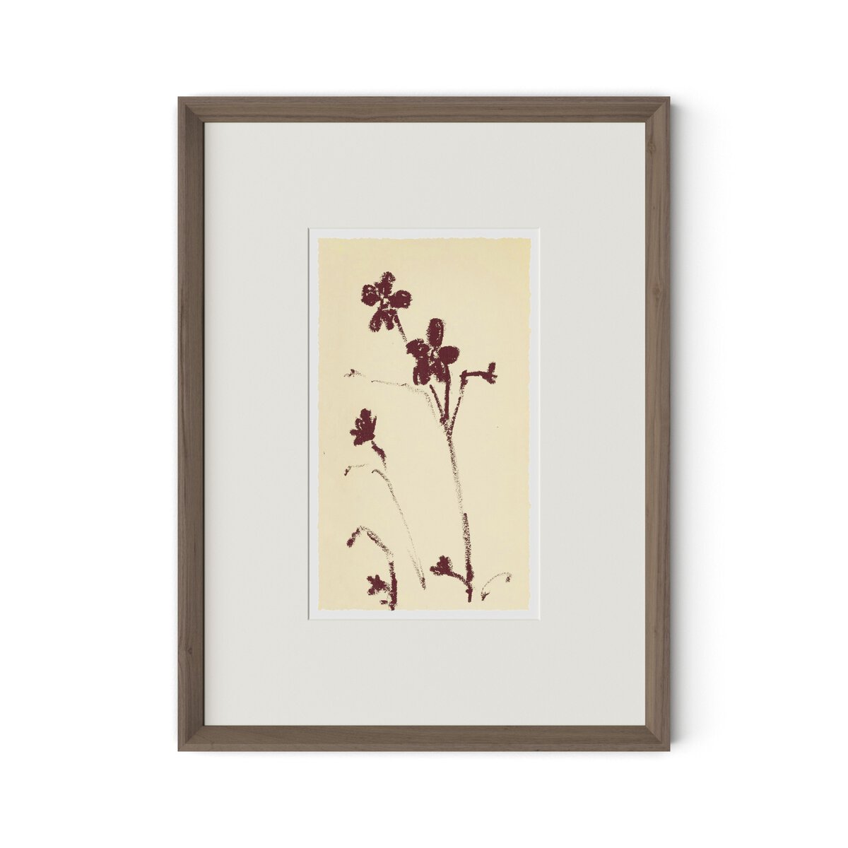 Meadow Rue No.9 by Shaina Page