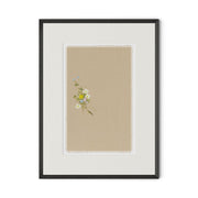 Botanical I by Brittany Smith