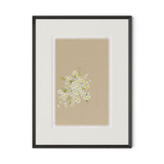 Botanical II by Brittany Smith