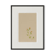 Botanical IV by Brittany Smith