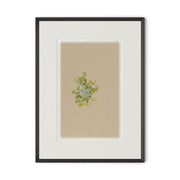 Botanical V By Brittany Smith