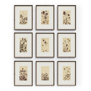 Wild Blooms Set
