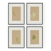 Sprig Symphony Set By Brittany Smith