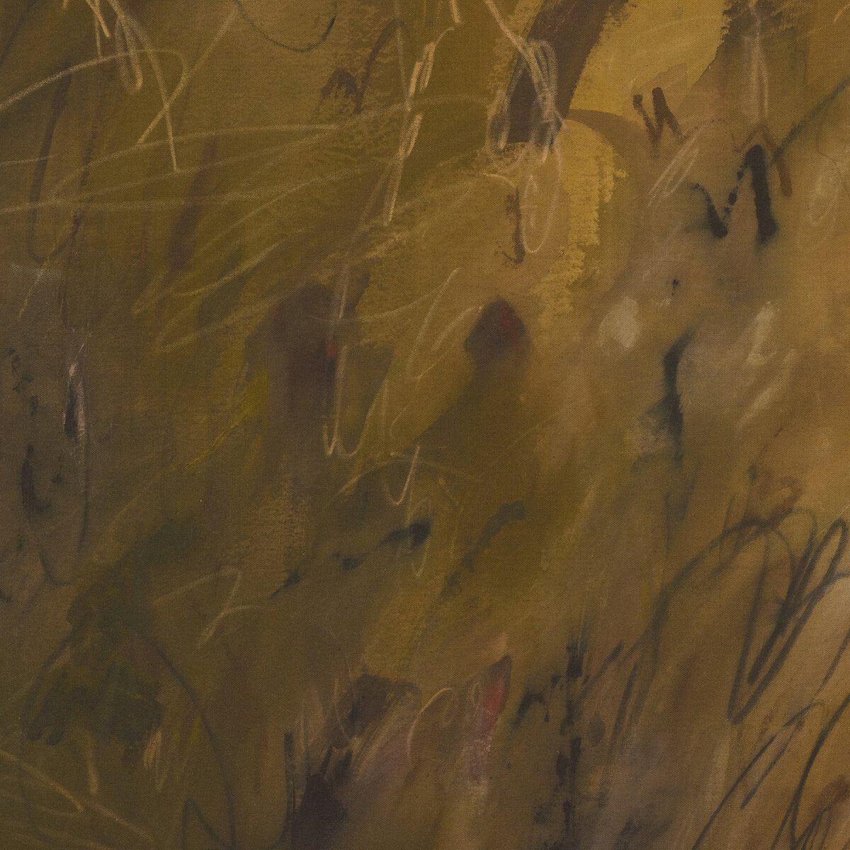 Chihuahuan Soil By Katherine Hunsaker