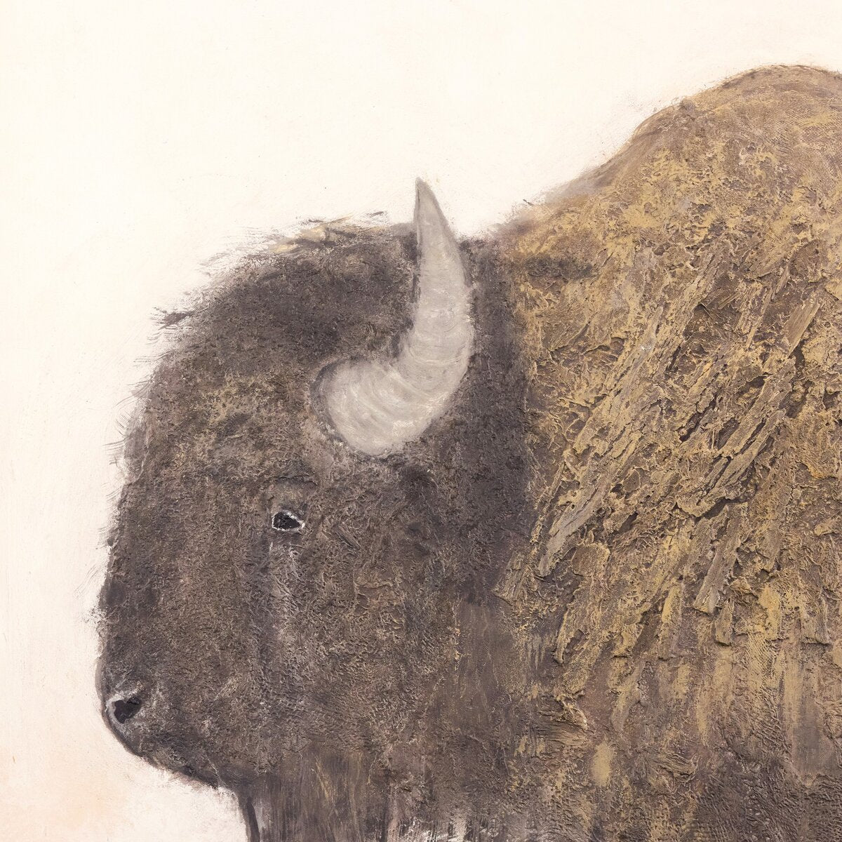 Bison by Paul Meyer