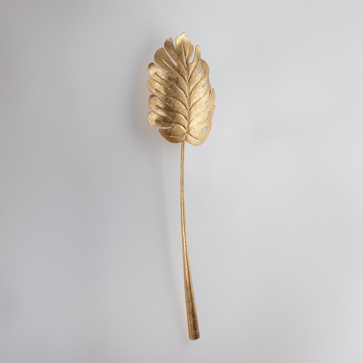 seychelles wall sconce