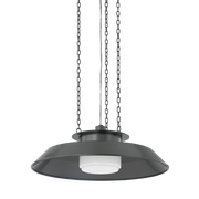 woodrow pendant