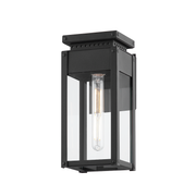 braydan exterior wall sconce