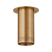 berg flush mount