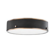 eli flush mount