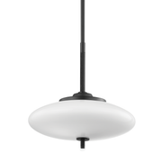 fallon pendant