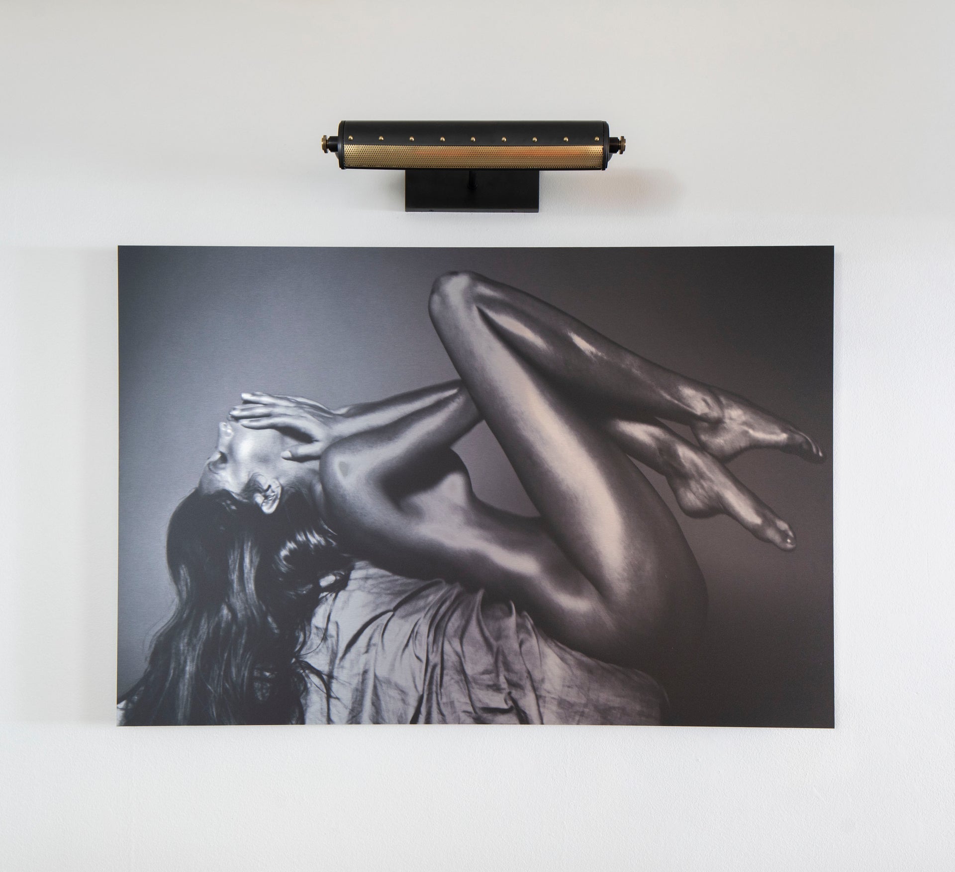 gaines picture light