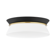 cath flush mount