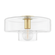 iona flush mount