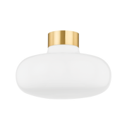 eliana flush mount