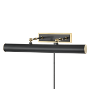 holly plug-in picture light