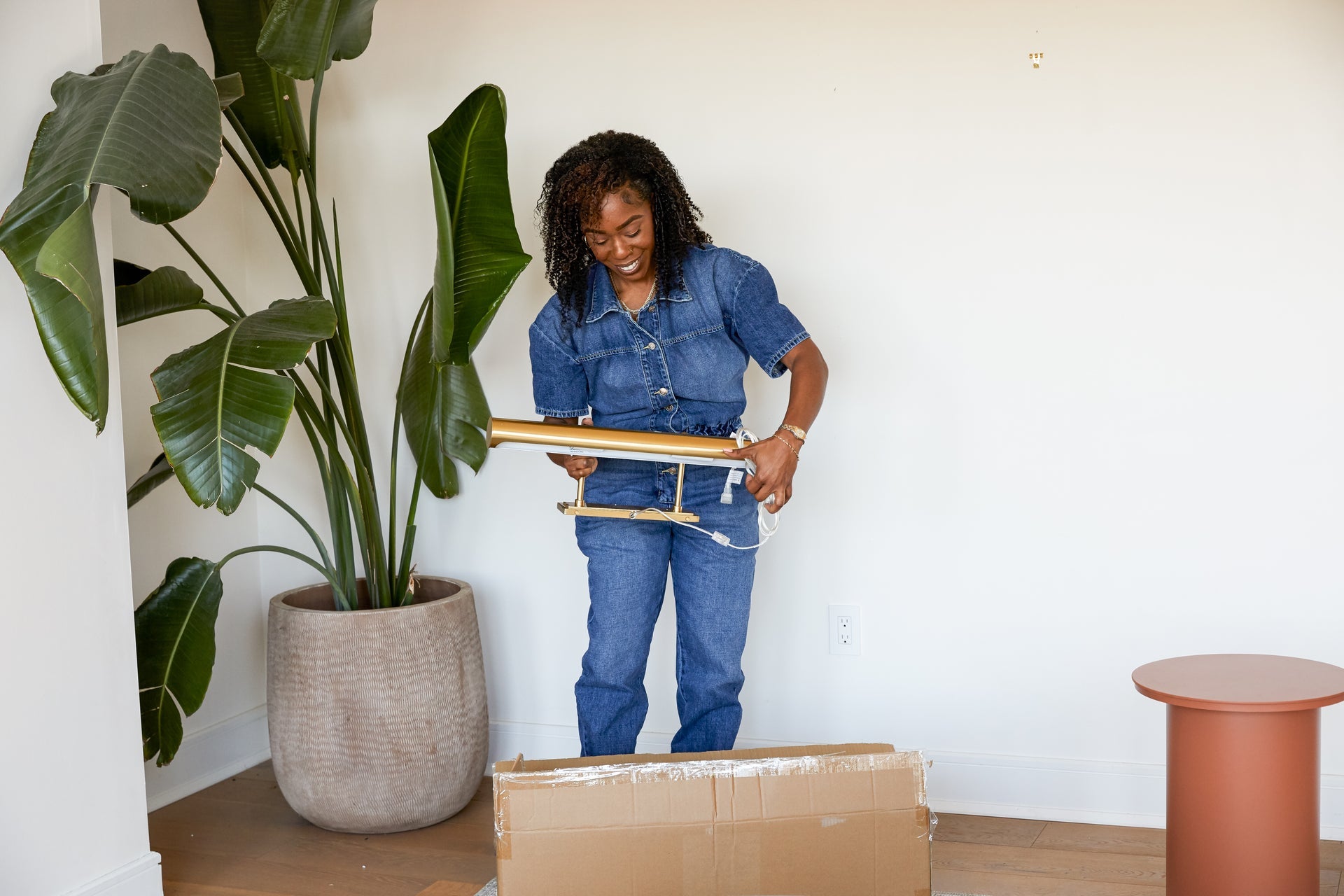 holly plug-in picture light