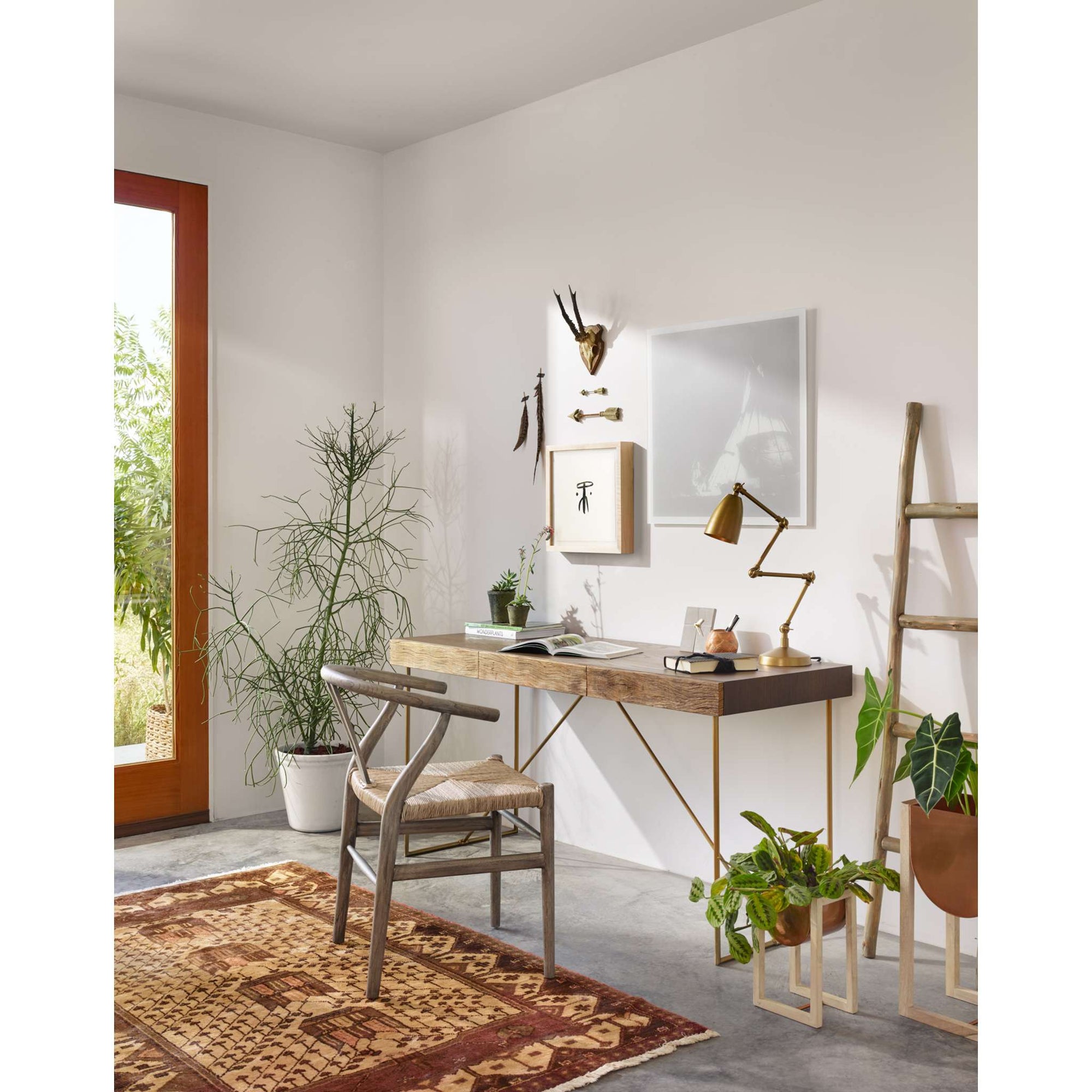 Muestra Dining Chair