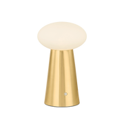 cashel rechargeable table lamp