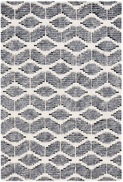 EBN704