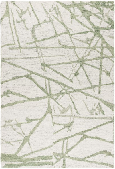 EBN913