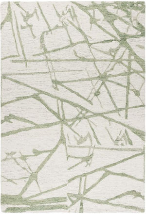 EBN913