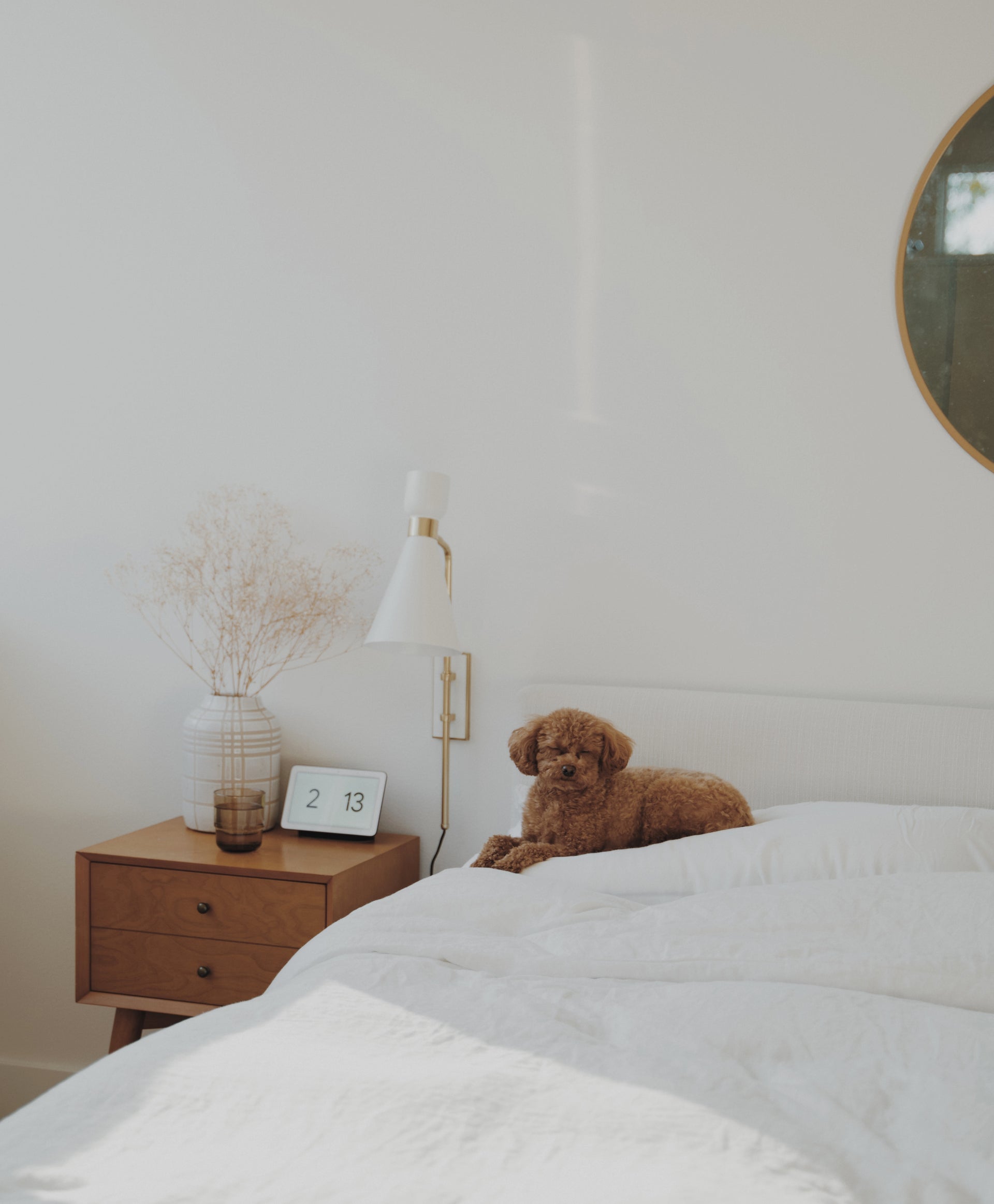 willa plug-in sconce